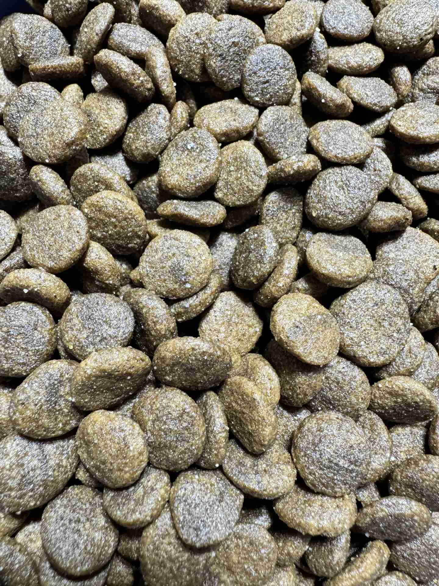 Dog food