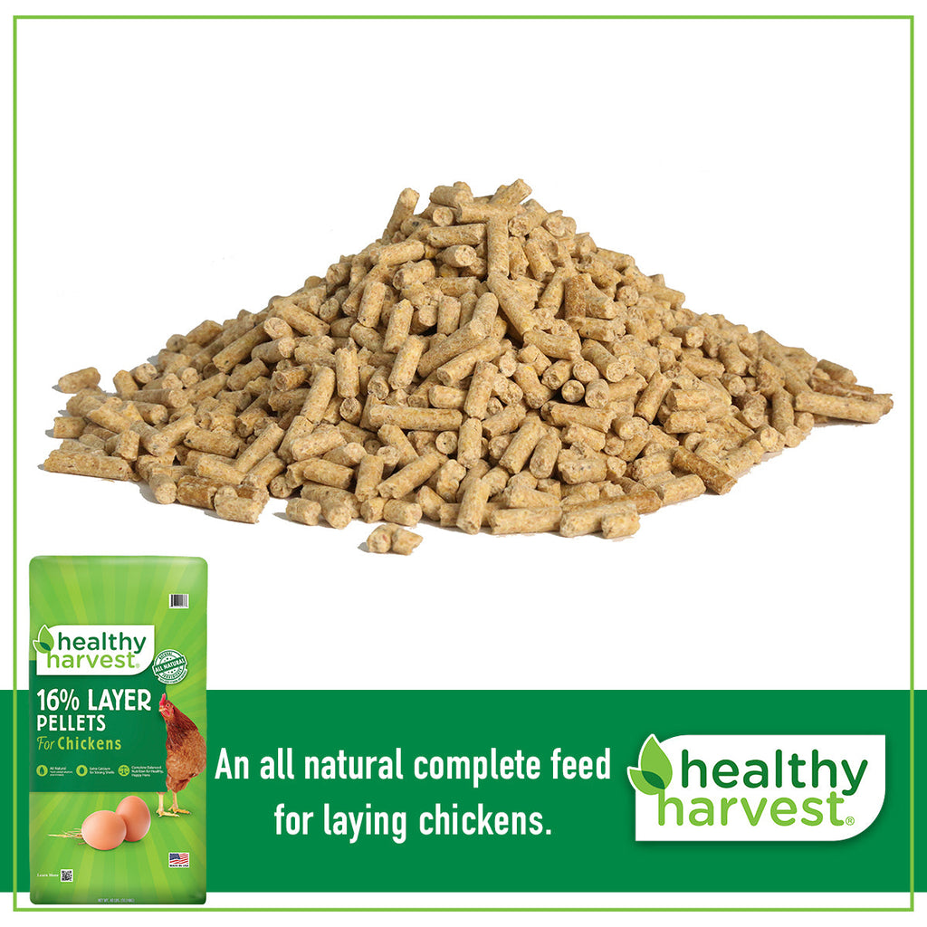 16% Healthy Harvest Layer Pellets