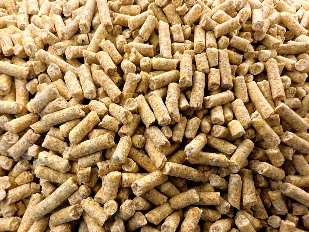Layer pellets 20% 50LB