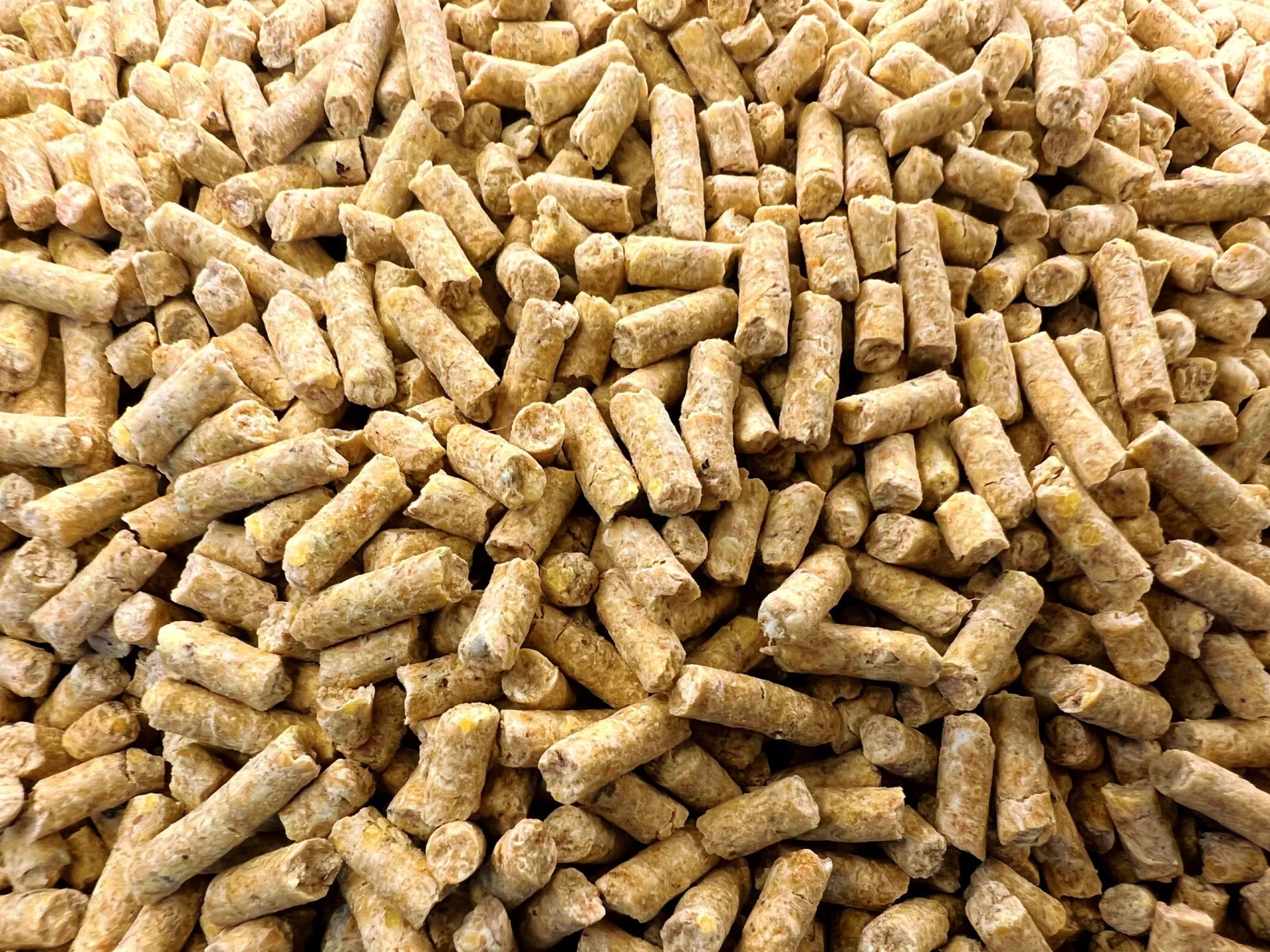 Layer pellets 20% 50LB