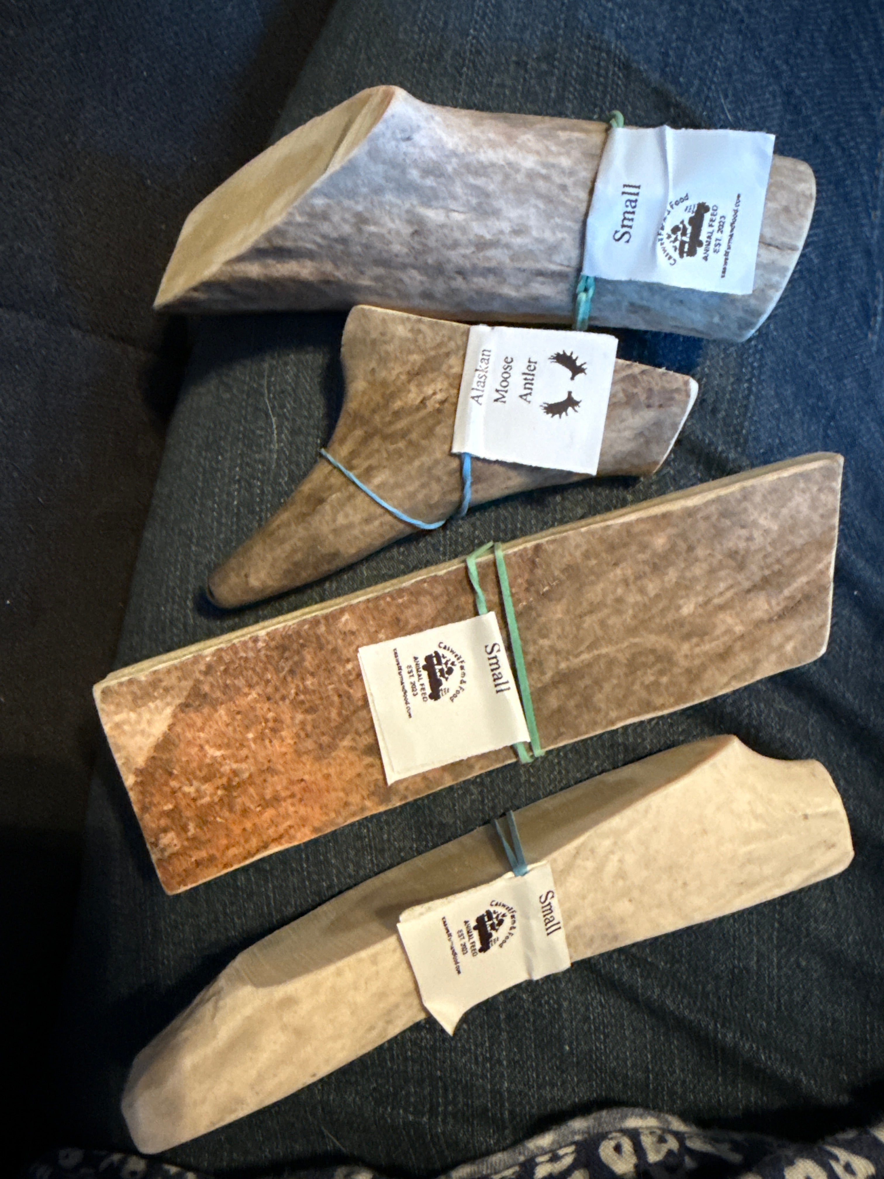 Moose Antler : Small 3-5 in.