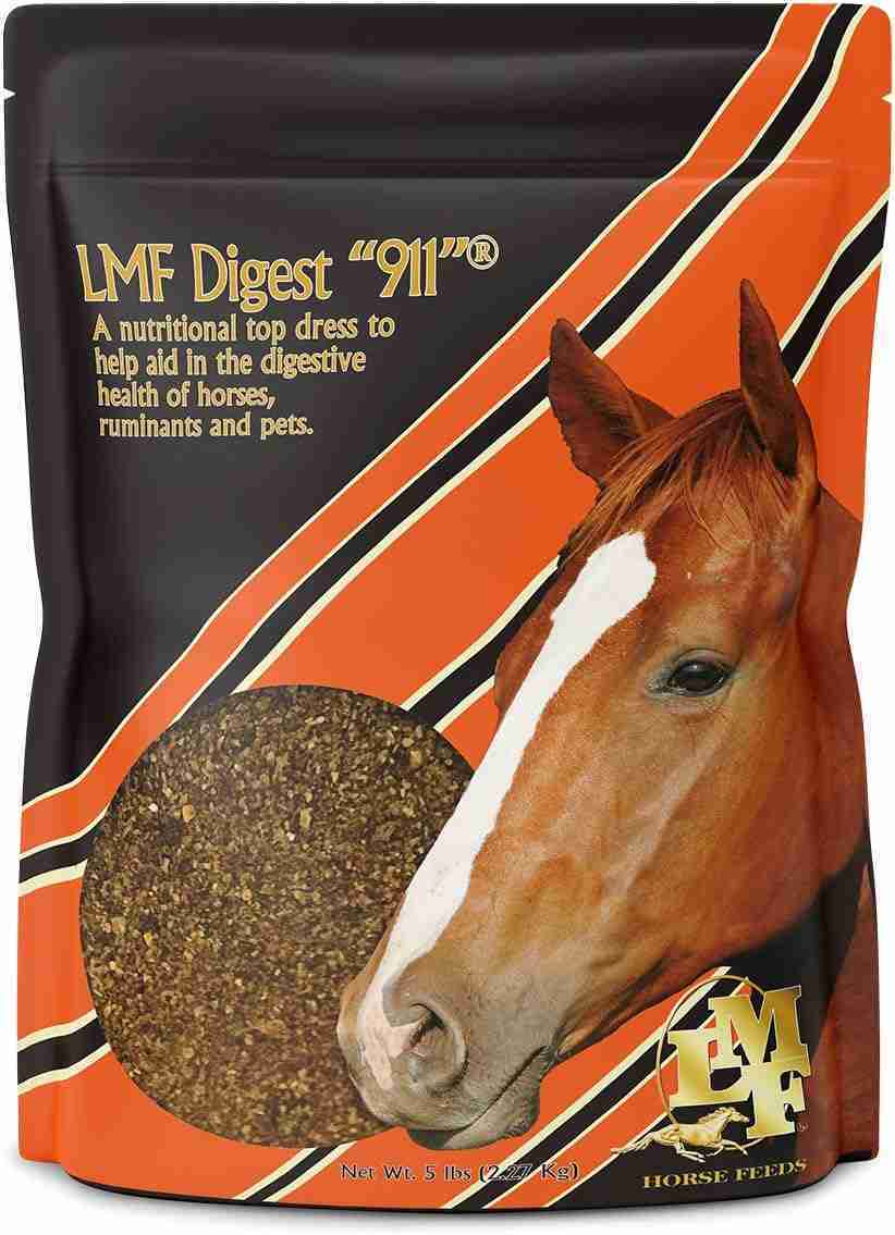 LMF Digest 911