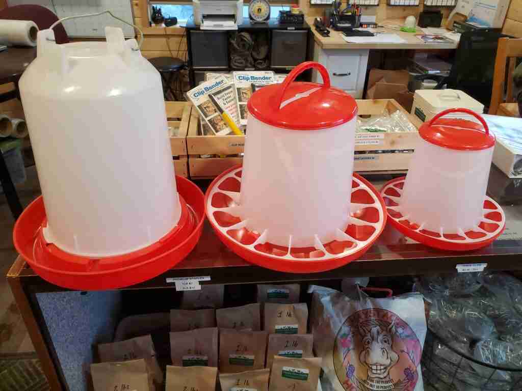 6.7lb Chicken Feeder (Mini)