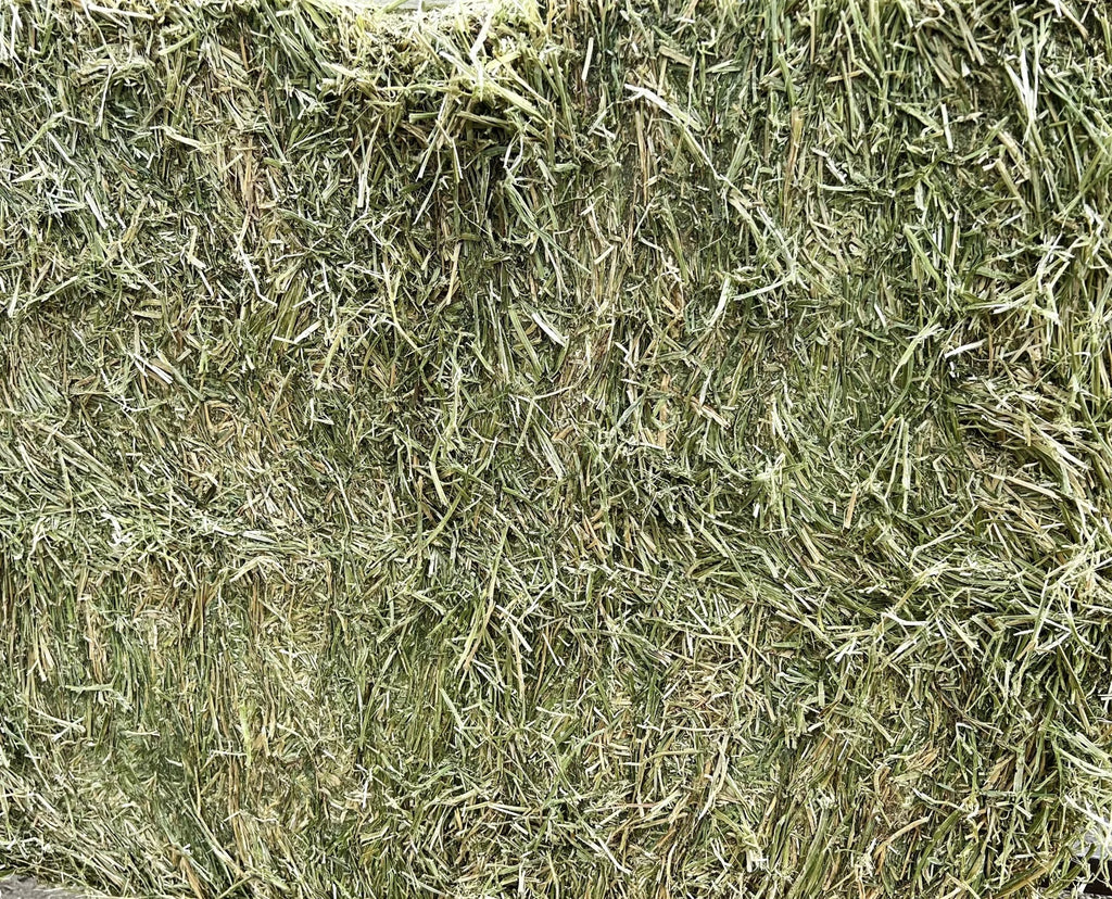 Alfalfa Sleeves