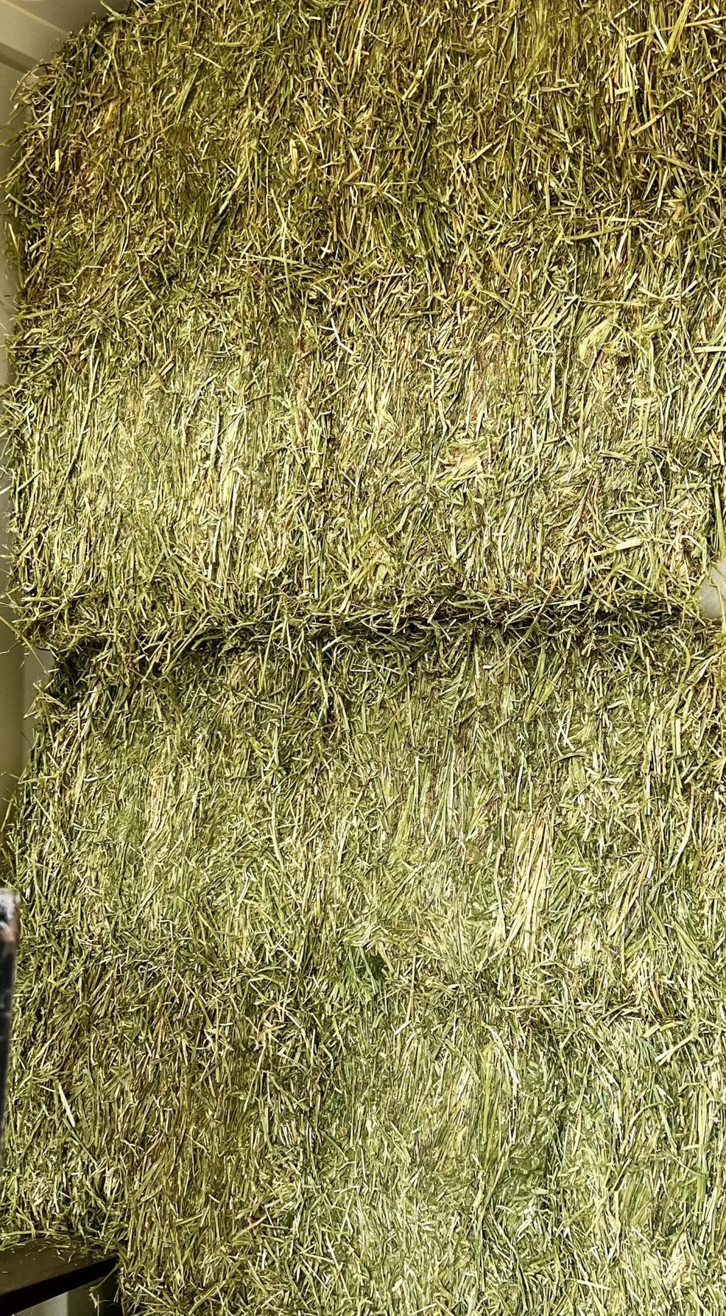 Alfalfa Sleeves