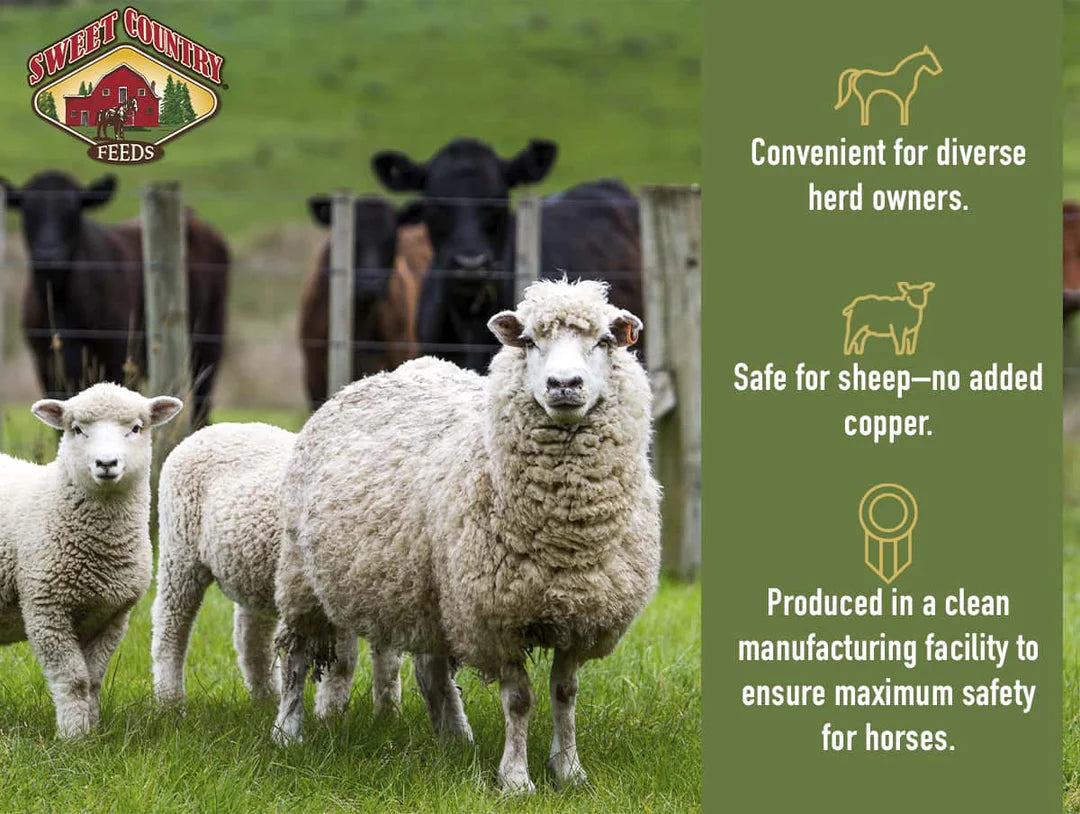 14% Soy-Free All Stock Pellet (Non-GMO)