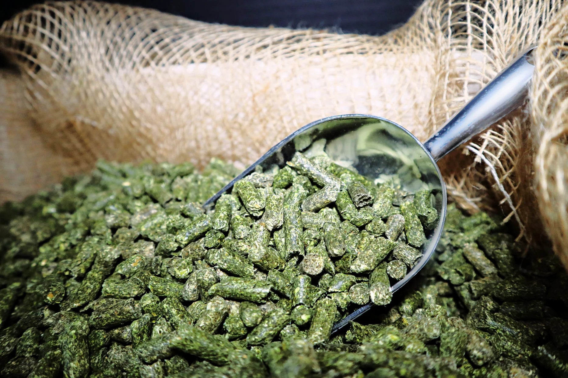 Alfalfa Pellets 50lb