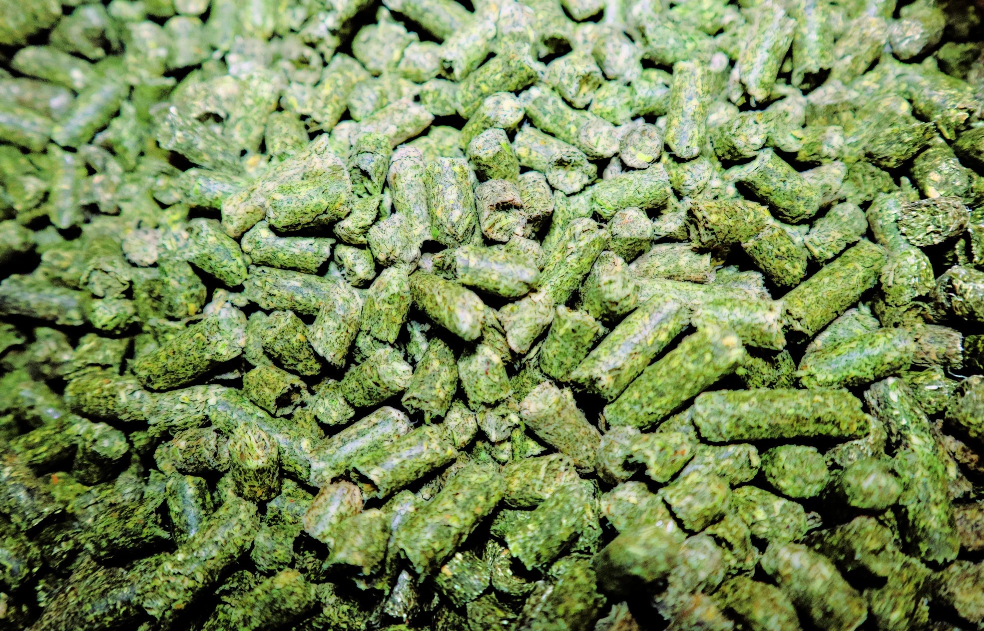 Alfalfa Pellets 50lb