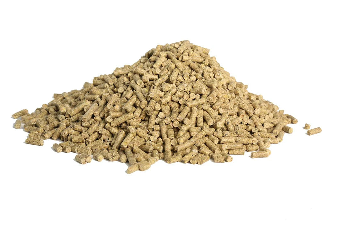 Start Right Lamb Creep