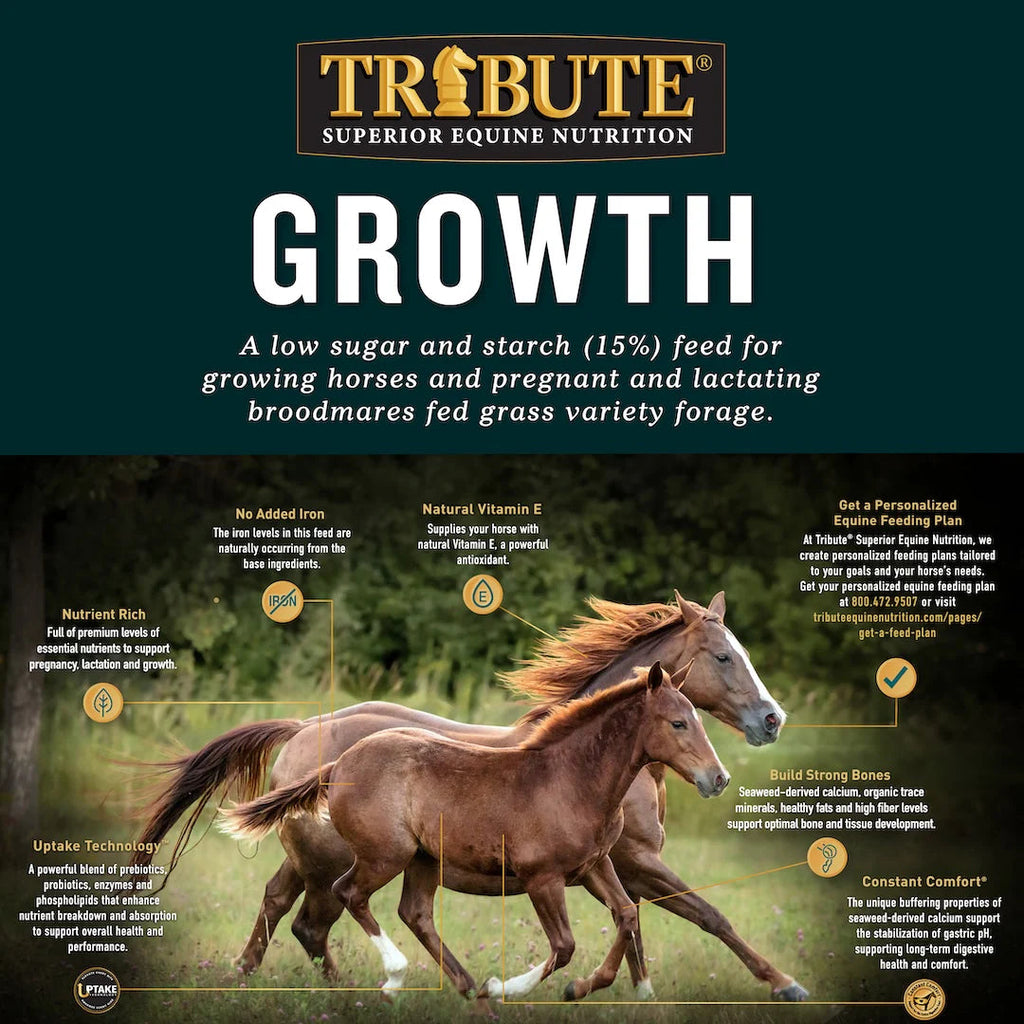 Tribute Growth Pellet 16%
