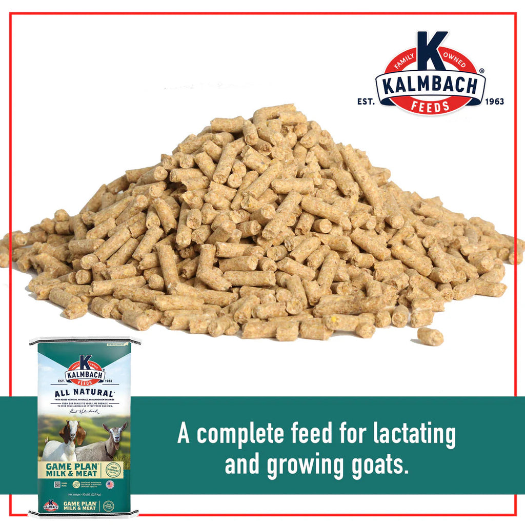 Game Plan Milk & Meat Goat