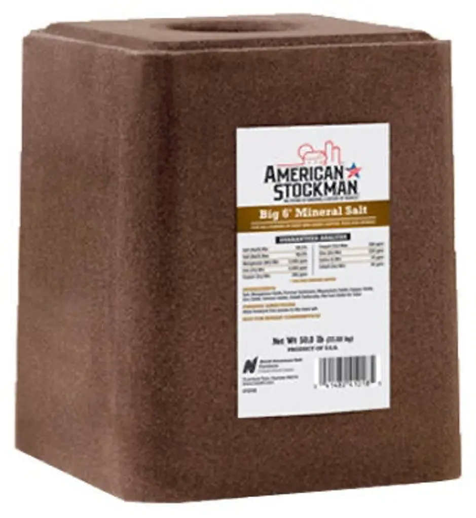 American Stockman Big 6 Salt Block