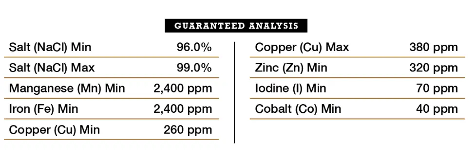 American Stockman Big 6 Salt Block