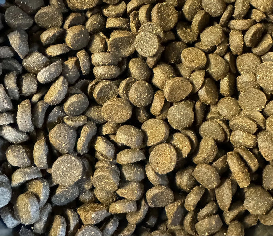 Arctic Active Blend (37/25) (dog food)