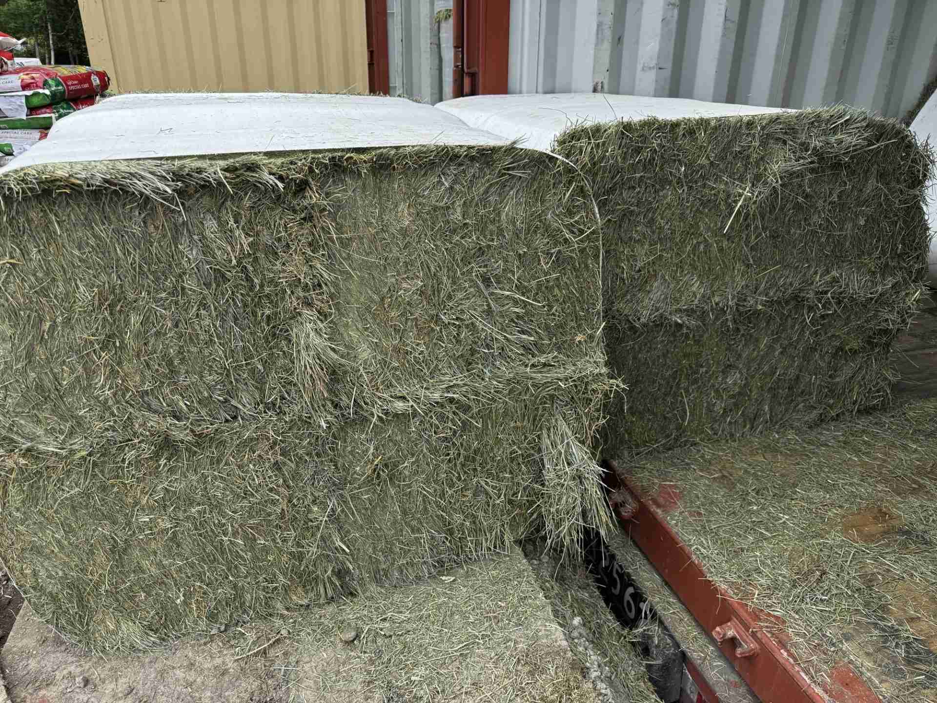 Orchard Grass Hay Sleeve