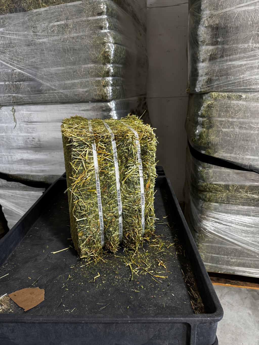 Alfalfa Hay