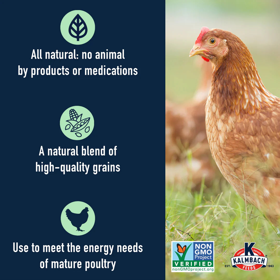 Soy-Free 5-Grain Premium Scratch (Non-GMO)