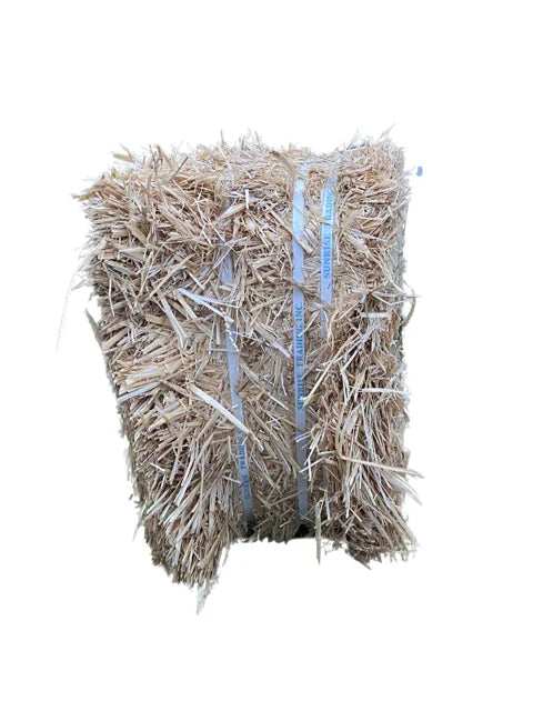 Straw (Double Compressed)