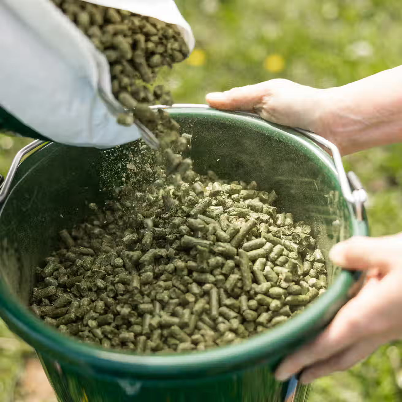Standlee Certified Timothy Grass Pellets