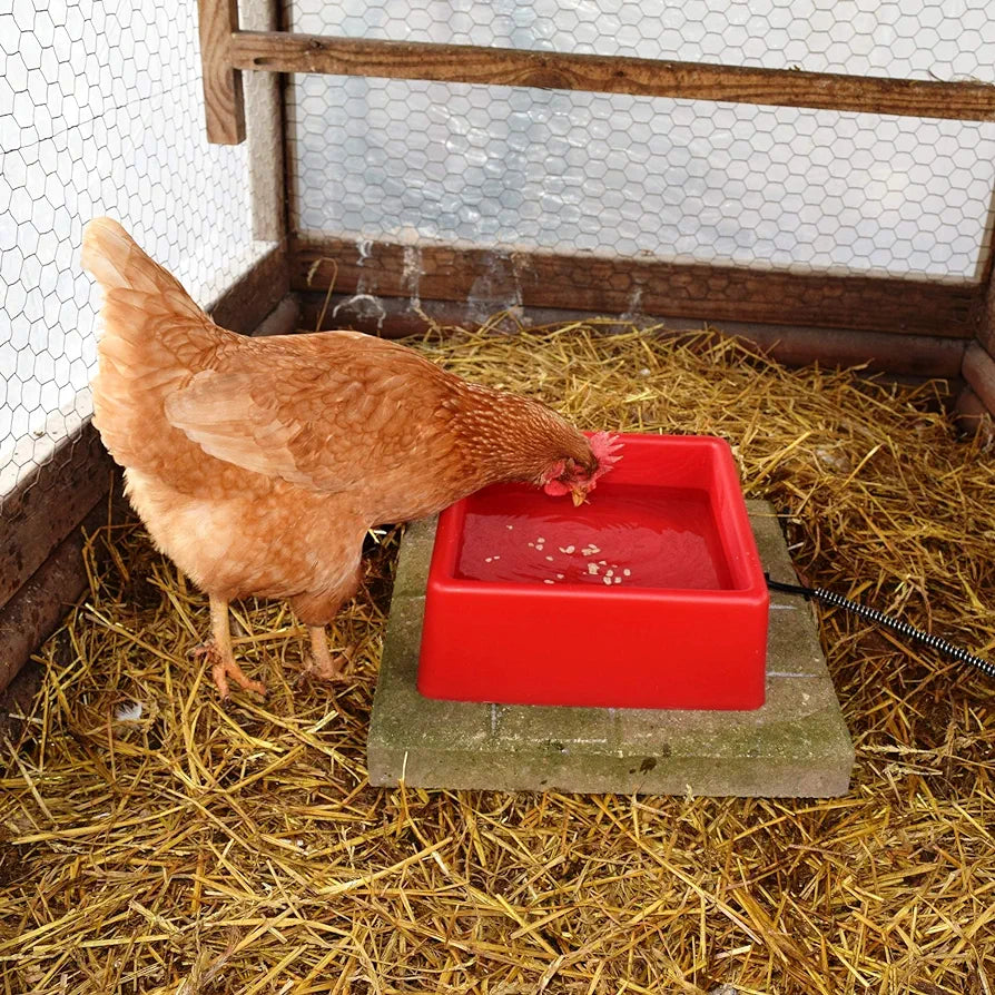 Heated Pet Bowl 1.25 Gal. (RED)