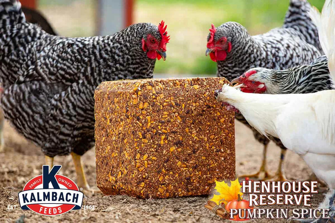 Pumpkin Spice Henhouse Reserve® Block