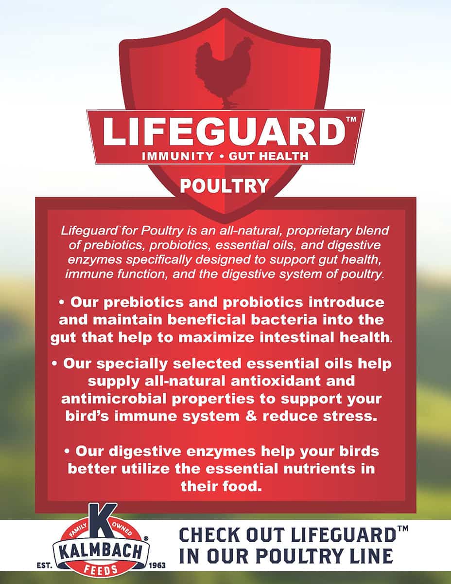 18% Start Right® Chicken Crumble Feed