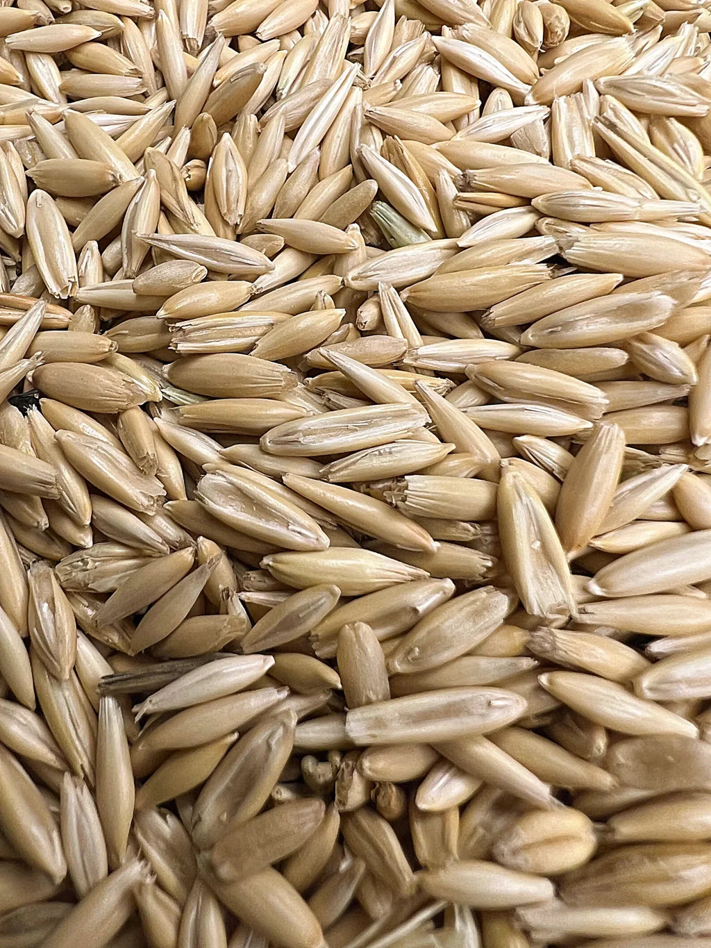 Whole Oats