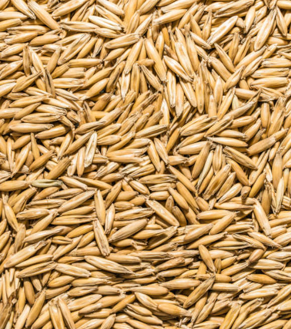 Whole Cleaned Oats